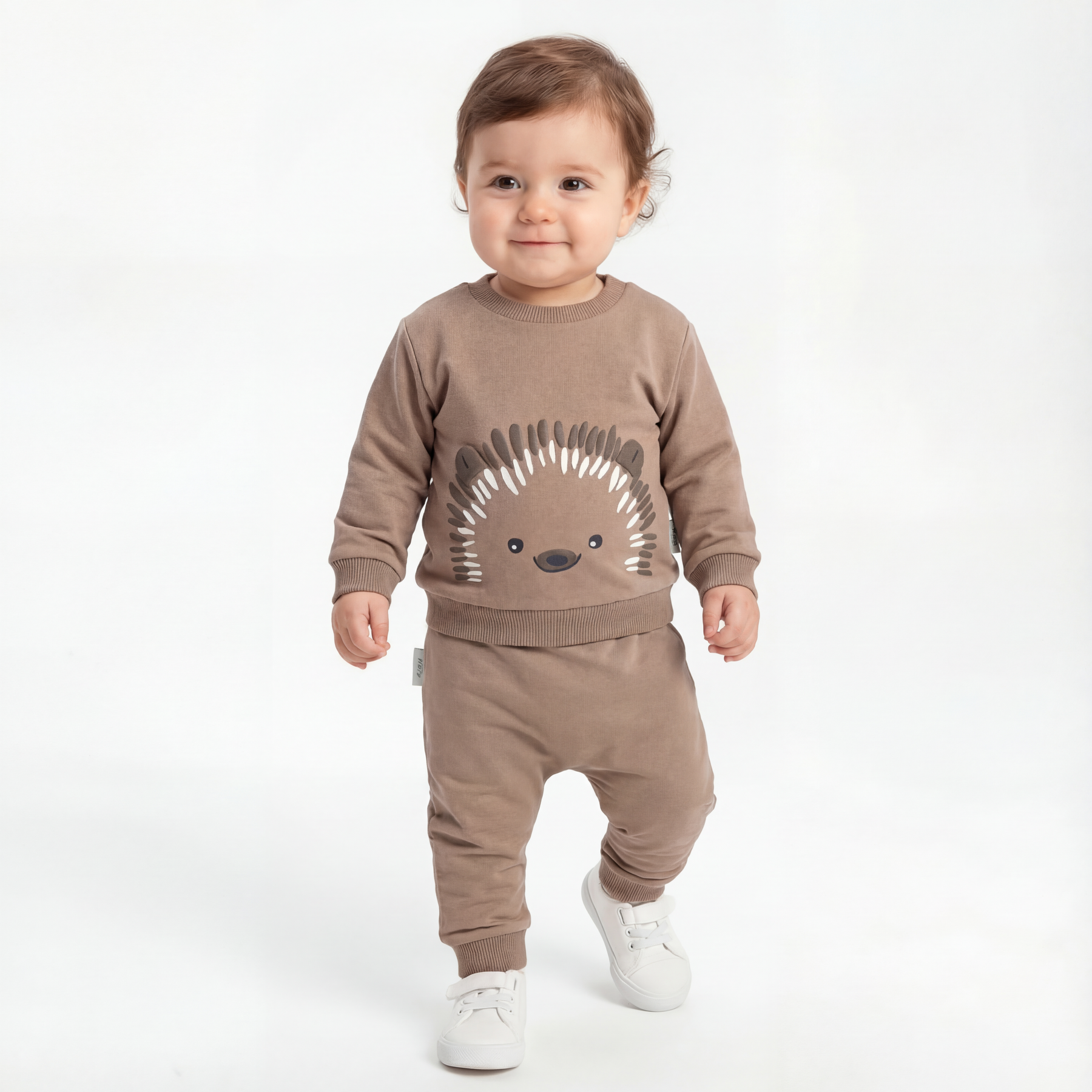 Hedgehog Erkek Bebek Takım