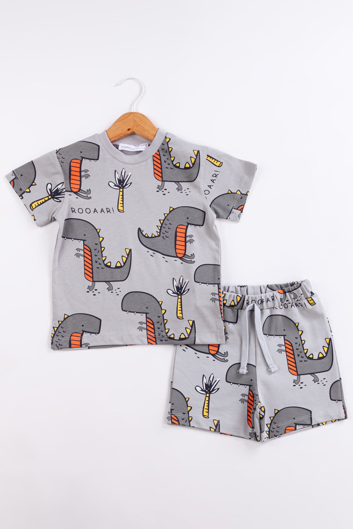 Roar Dino Erkek Bebek Takım