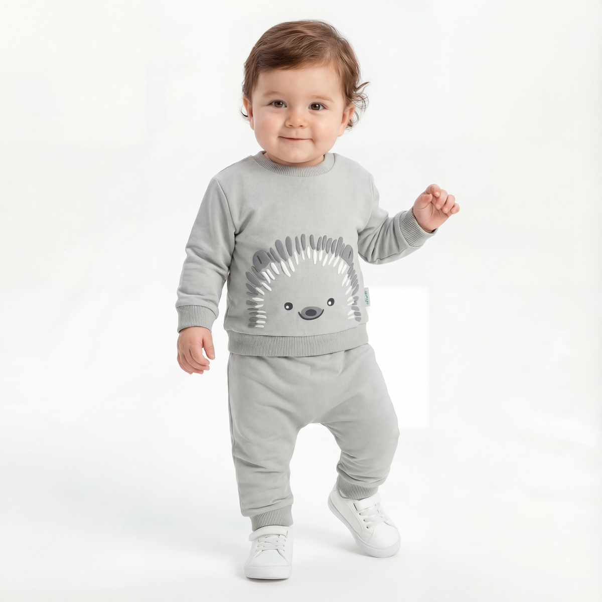 Hedgehog Erkek Bebek Takım